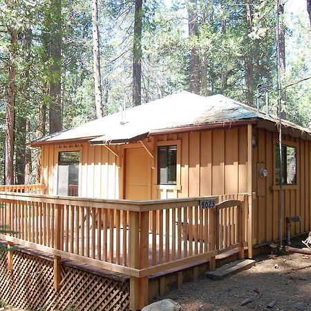 9S Pine Cabin South Wawona المظهر الخارجي الصورة